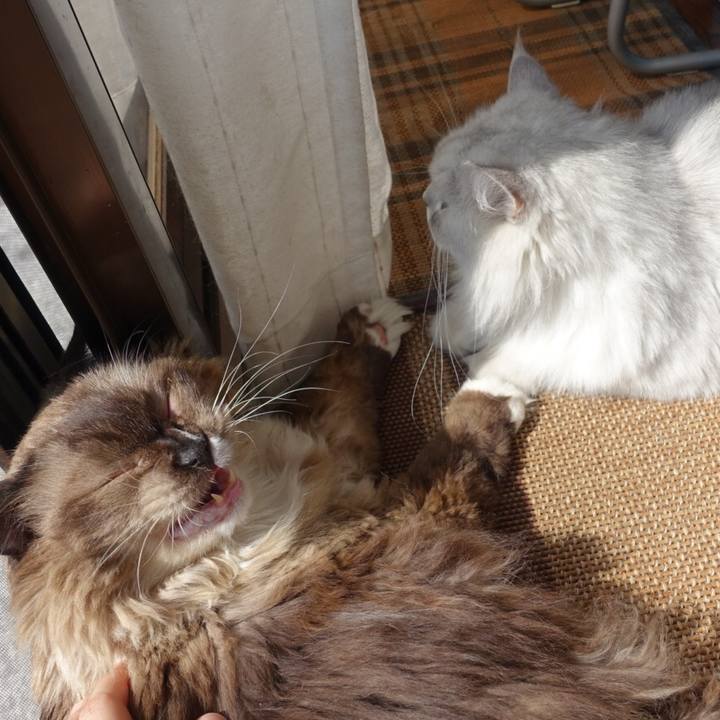 D9fa9832 dbf2 4106 b982 339fa9b7e331