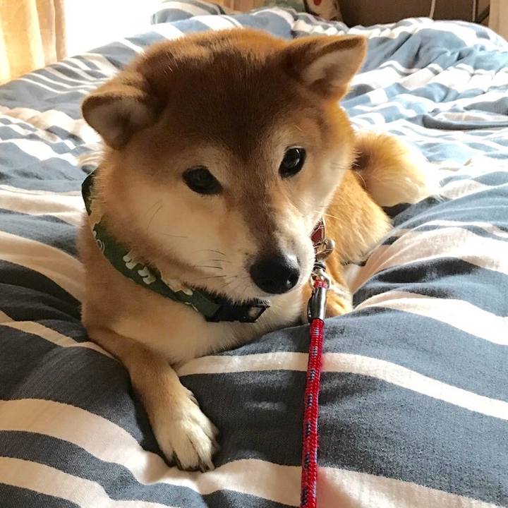 D9fb3544 8153 4463 ac20 ced3018c41b1