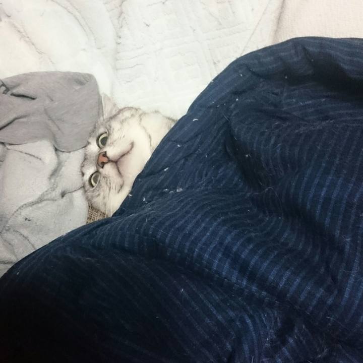 D9fb8c62 a81c 478e b766 f239ff43c4f6