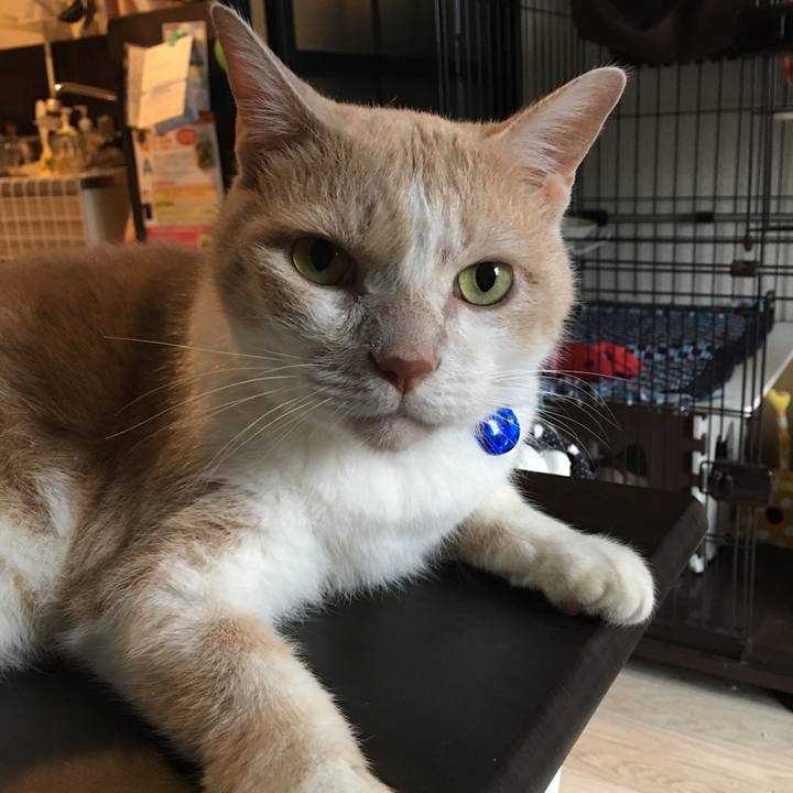 D9fbc5fd 44bc 442a ad62 de64a63604e4