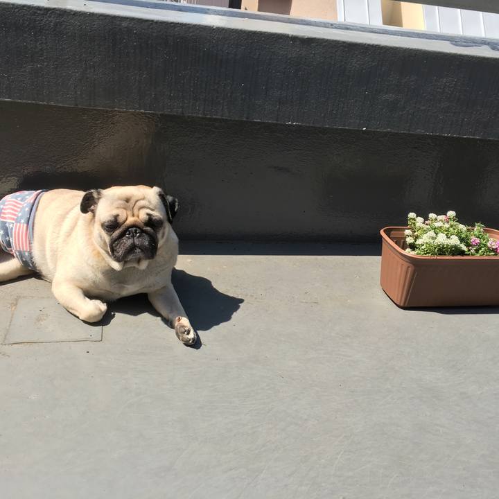 D9fc86f4 2a34 4276 a905 be0258314701