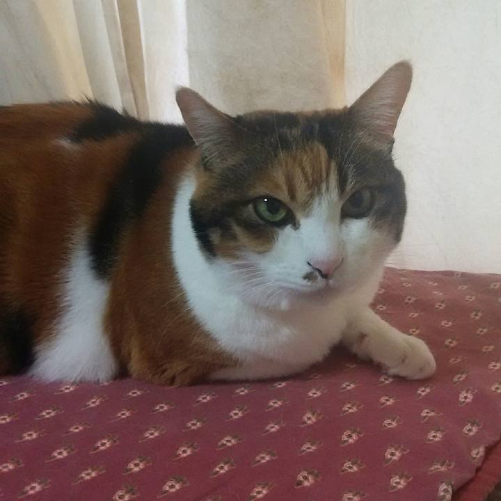 D9fd110f aac8 41e6 aec6 e63af9add409