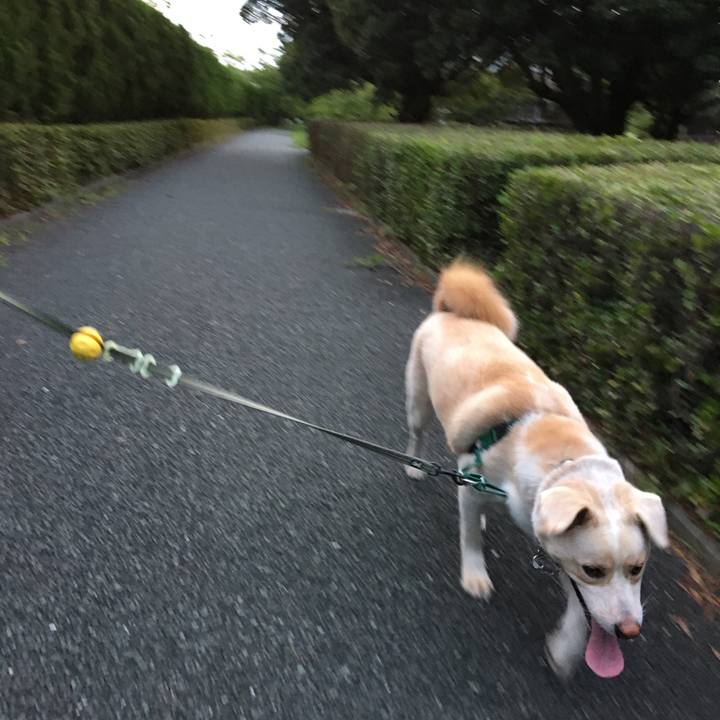 D9fd24f2 9790 48d1 ba63 4faa346daf6d