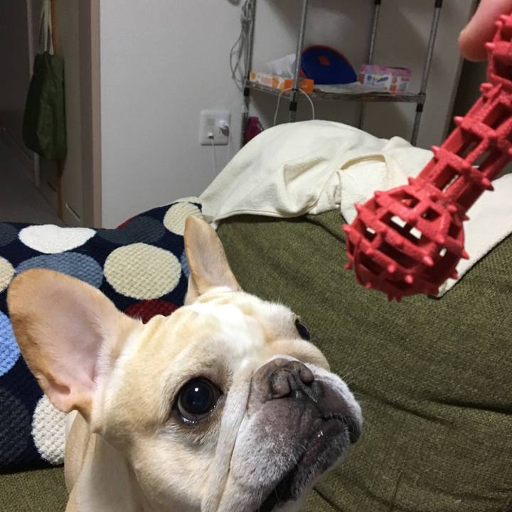 D9fd7bd4 86bd 4de0 b45f f164cc3762e3