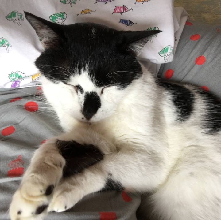 D9fd8977 2c91 4740 9215 5e33698e0e85