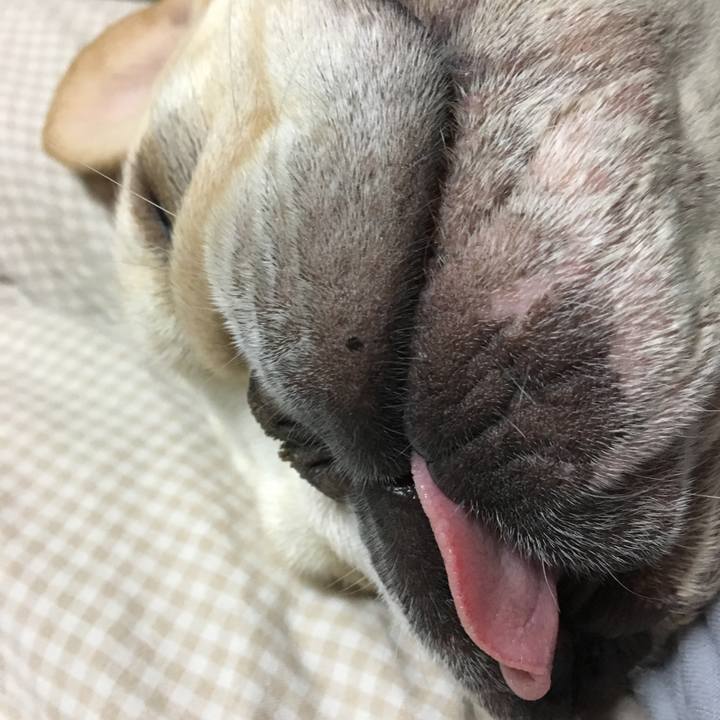 D9fed503 1758 4a90 9fea 8debd17c7143