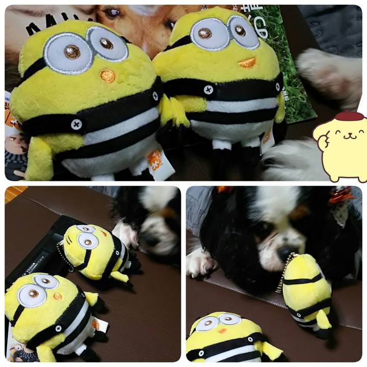 D9ffb2e9 7d54 4720 8a86 30ab5452f32c