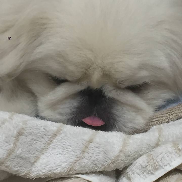 D9ffecf2 1236 4435 bcac 63bb9a8f12ef