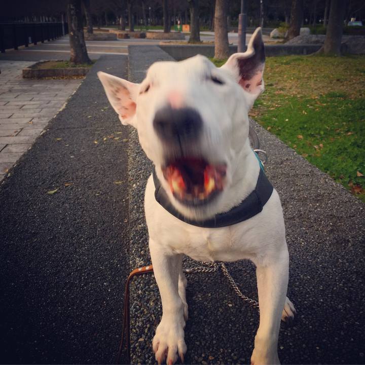 Da014cf0 7596 4b05 8a0f 59361af05b5b