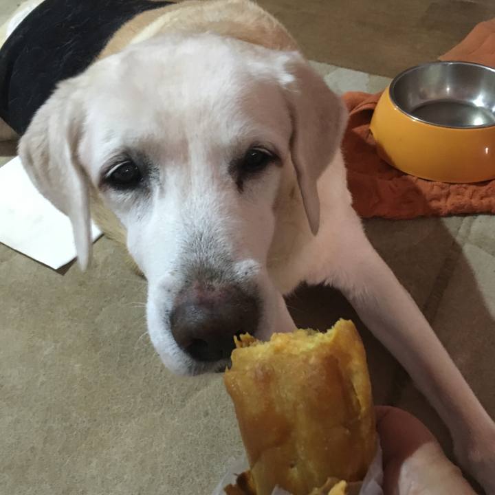 Da0219b1 0db8 4421 a6d6 ed81aecfabb4