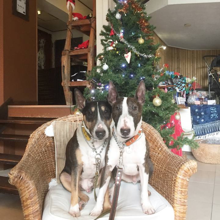 Da02234f b302 450c 8888 22a5db9be031