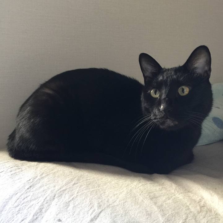 Da0230c8 8c01 422f 9e35 2414ac1e44f1