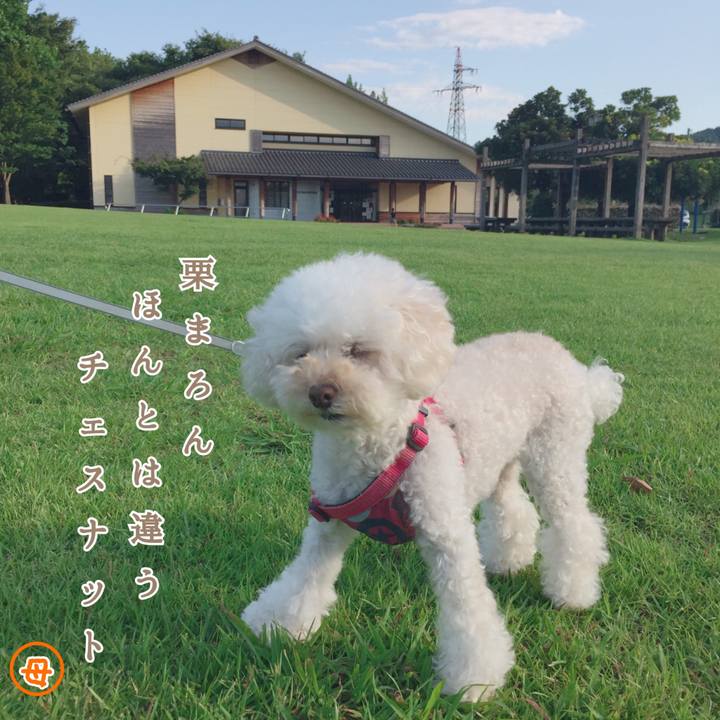 Da024d92 8ccf 417d a37e 5be7726ec767