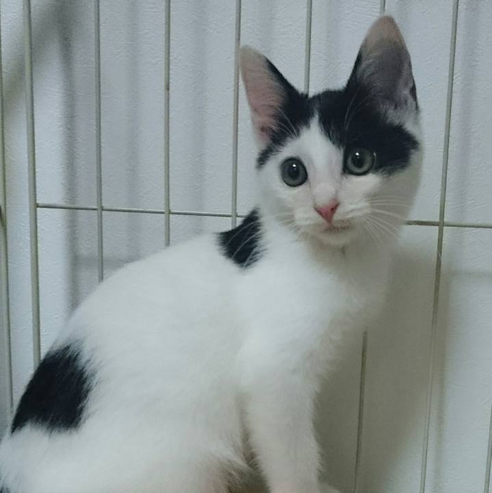 Da029fdc bf09 4520 9795 c9eebc840621