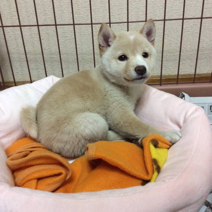 Da02a572 e96d 4411 bf6a 3c9d1a448fea