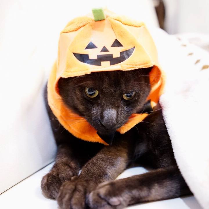 Da02f83a 0dea 4497 9abd fe866ac7c161