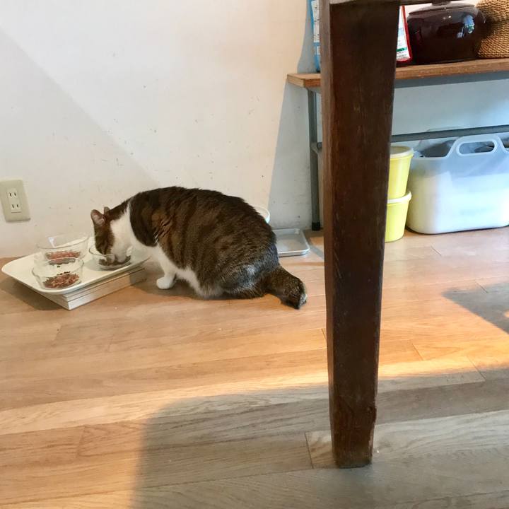 Da032f5a 3190 4055 b93f ebe44dfacad8