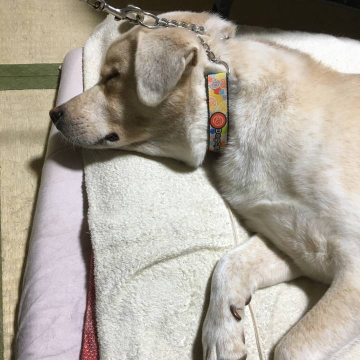 Da034626 46e8 4f96 8360 711039d93cd9