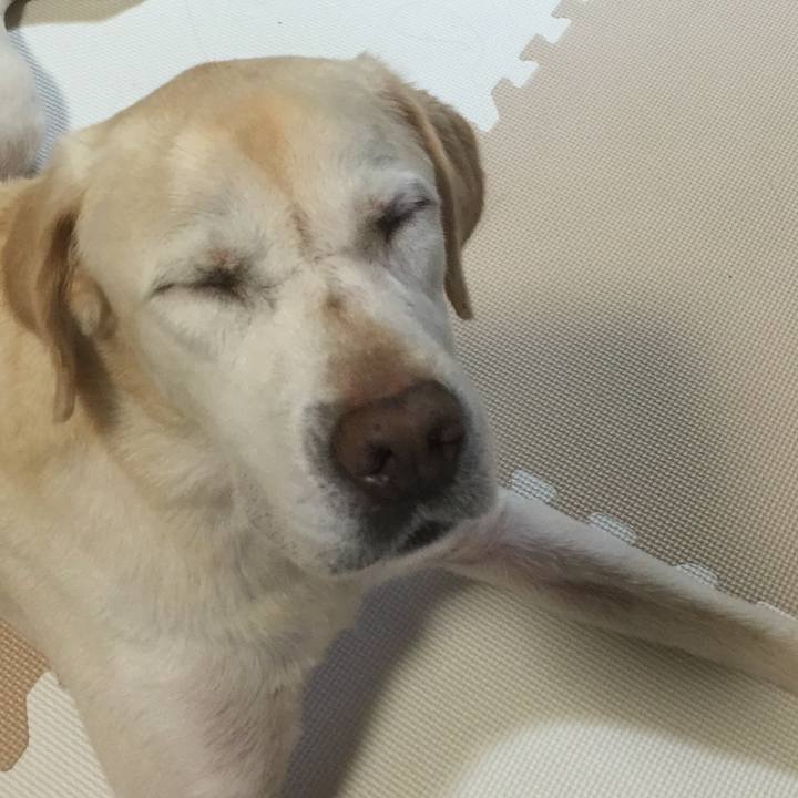 Da03e63a 9cfa 4395 85d9 bfe5c8efdf47