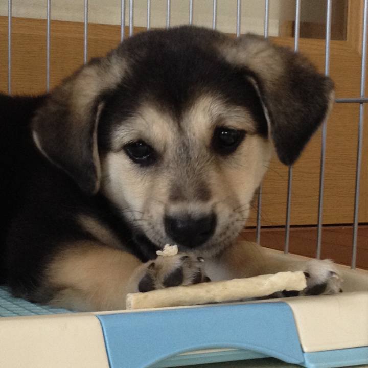 Da03f5e1 b186 41e6 abdf 27d44968cec2