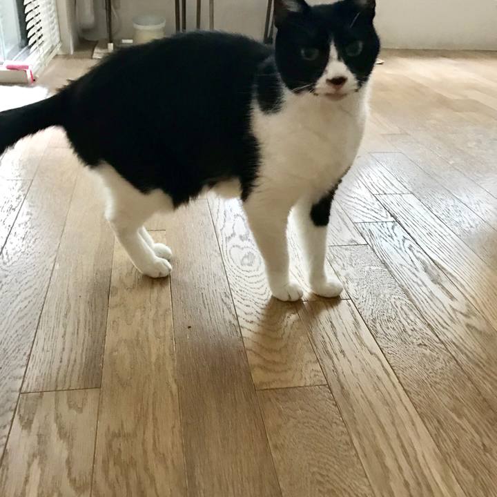 Da0452d5 8204 4b64 8447 4afac68efb4a