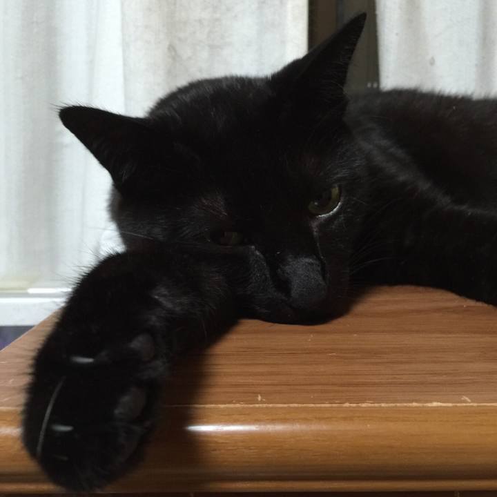 Da056e10 b6d2 43a3 bd74 d42161236833