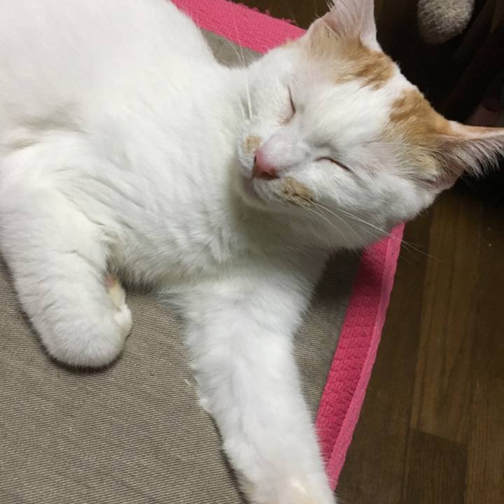 Da0586e7 9d65 402f 8826 b52b631594c9