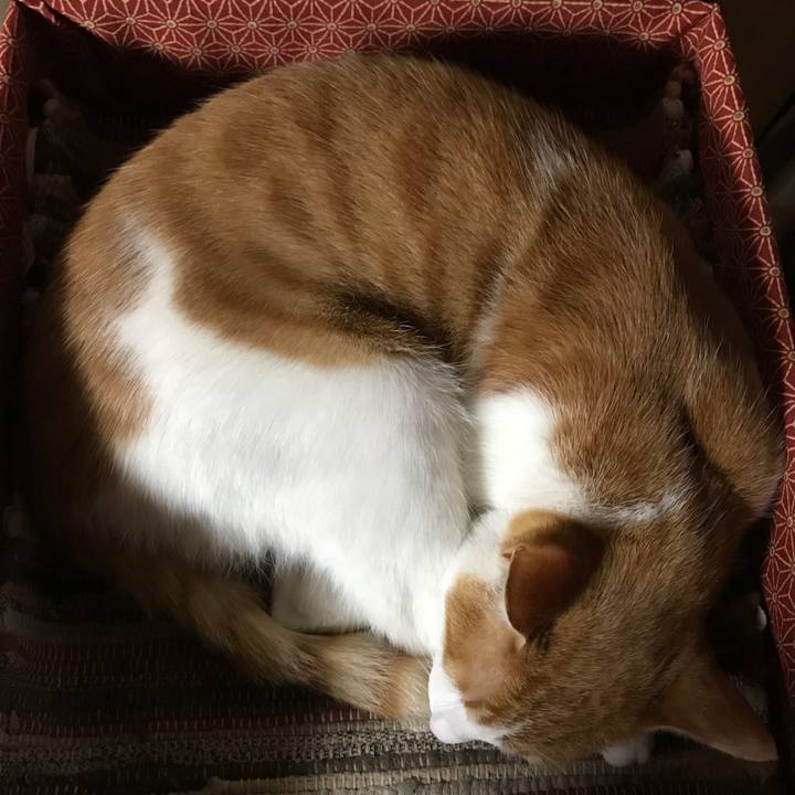 Da05dbca e666 4935 92a4 d1557febf7ac