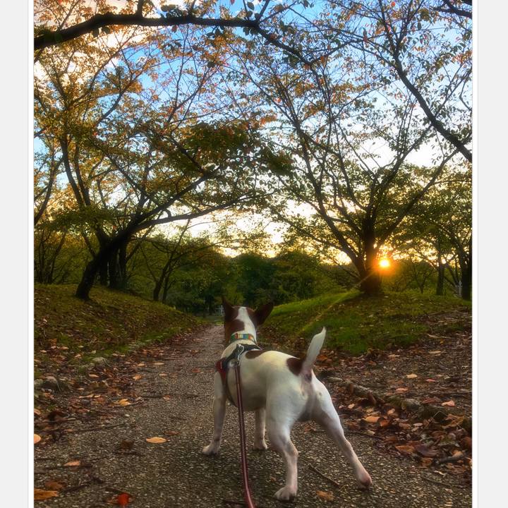 Da05f06c 5e32 4ebf ada0 b7817e37931f