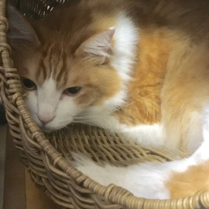 Da067c1c eb52 47dc a6d5 7cbd48d56712