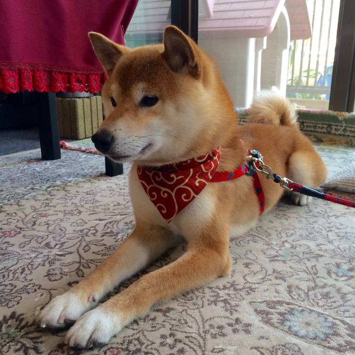 Da06e735 91f1 4fc0 9803 c8d9c5d4d2b1