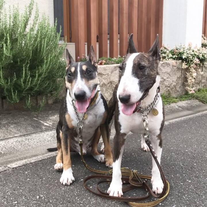 Da079d06 9496 4142 9f5d 291251e4c29f