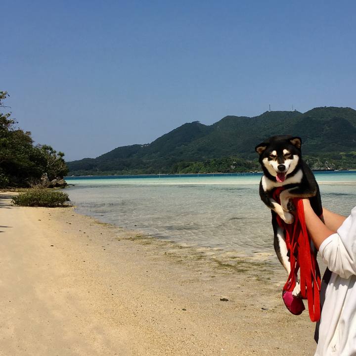 Da08d745 8437 4dbe 91f4 93959ea235c1