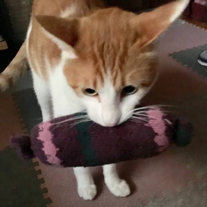 Da096bff 881d 42cc 9440 aca7cbb0da45