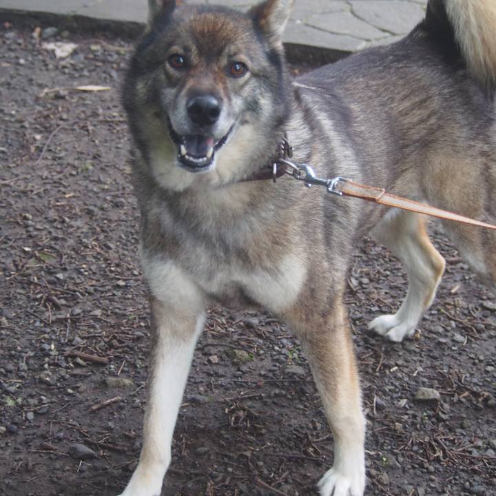 Da09975f 00eb 4105 8d07 b7a4638af8bc