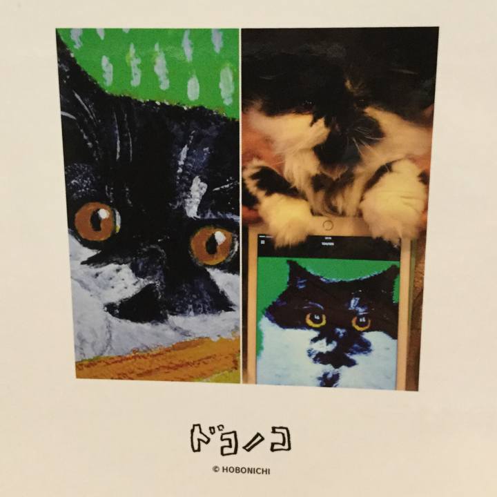 Da09fe25 77f0 4071 97bb 12447c44b2ea