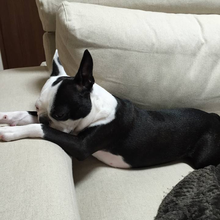 Da0b1e4f aceb 458c a465 be8ec14f0adb