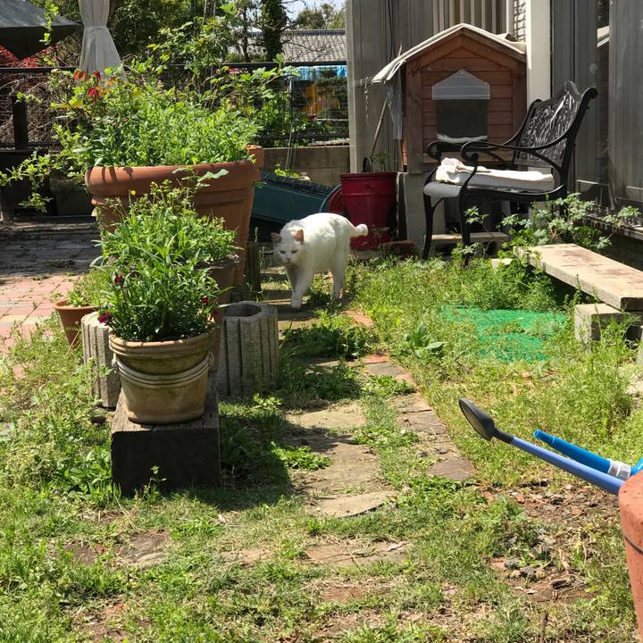 Da0b4177 6b80 417b b781 b9771972418a