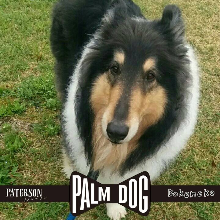 Da0b5a98 40fa 40ee 87ec 73e656a7bdc0