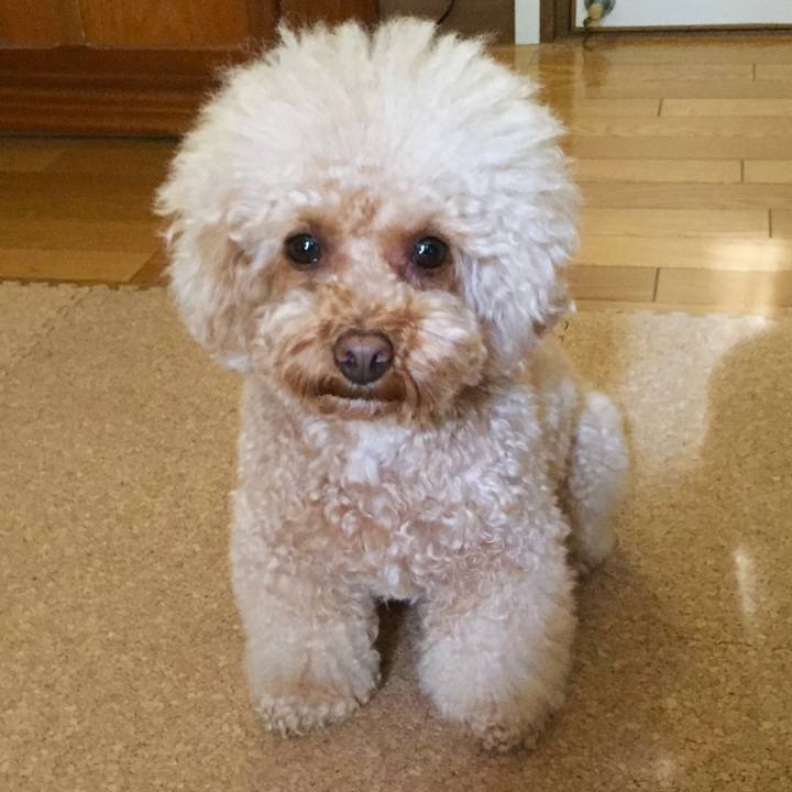 Da0b6998 0647 4e03 94c5 720c2fcce78b