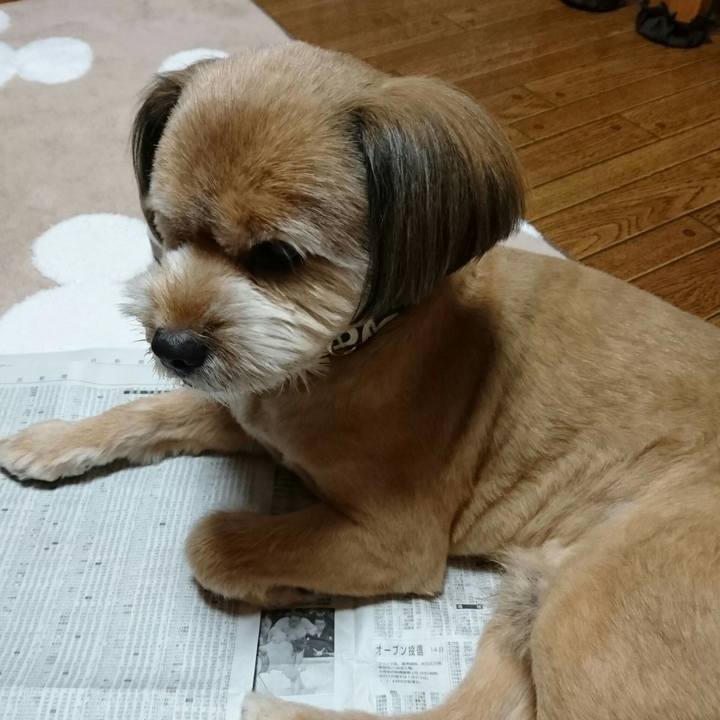 Da0bd494 0d9c 442f a862 fdd403e3e92f