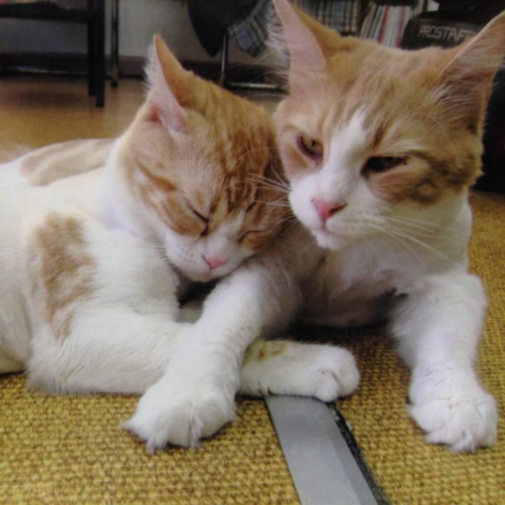 Da0e39b1 48f6 4303 9f7c 6e74198d274a