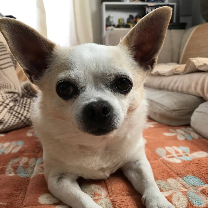 Da0f3491 0742 4da5 8bee 859f149dbf77