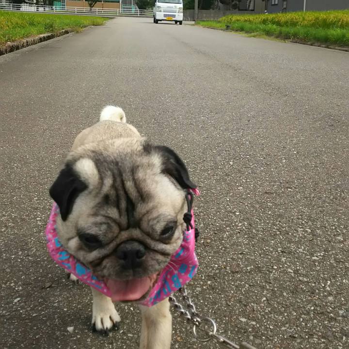 Da0f62f7 7485 432e 8330 66eab42d5c59