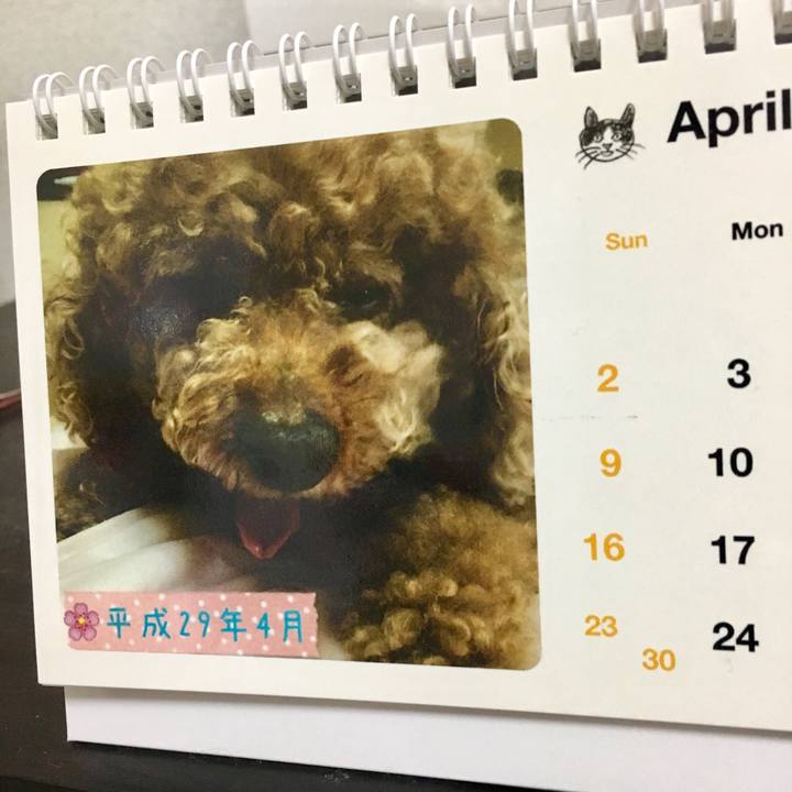 Da0f8e78 b037 4792 b02b 695e4d6009de