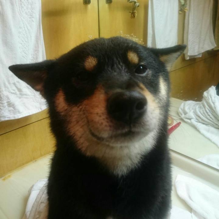 Da0fc1af 937a 477d 838b dab2889c3cea