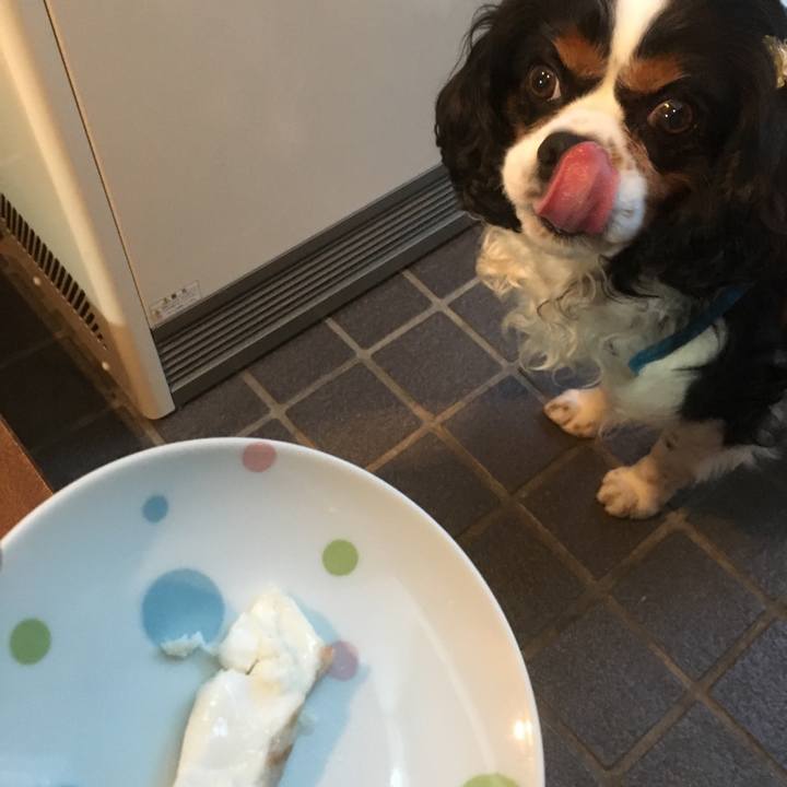 Da101a2e e567 4c62 848a 979daacc96f3