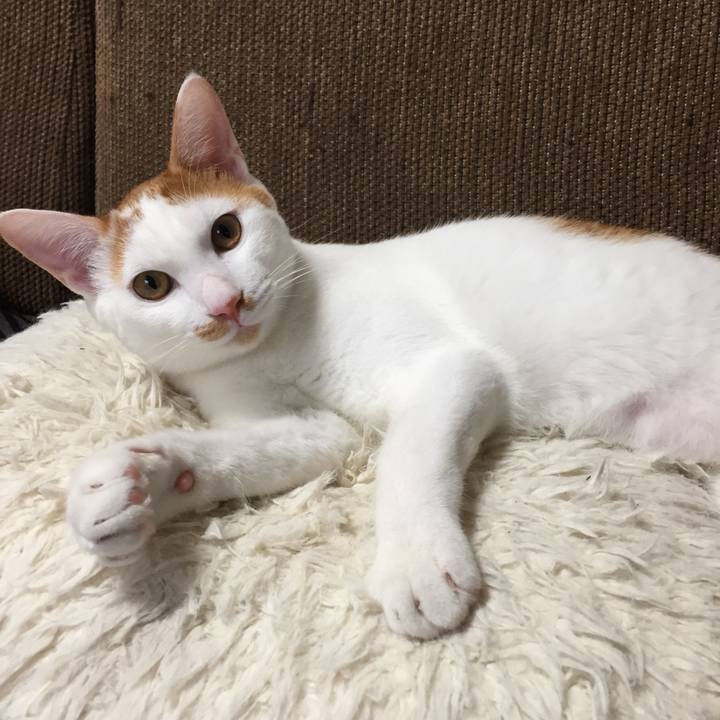 Da1053f7 c675 442a 9104 7b9b4915cc51