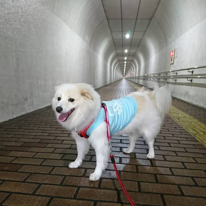 Da107ed4 6a95 48fb b946 78525a259e63