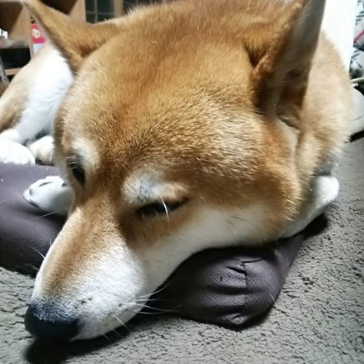 Da10b152 856e 4a67 adc3 8adc524b1de0